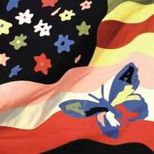 Album cover for Wildflower by The Avalanches