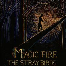 Album cover for Magic Fire by Stray Birds