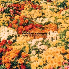 Album cover for Home Wrecking Years by Brendan Canning