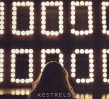 Album cover for Kestrels by Kestrels