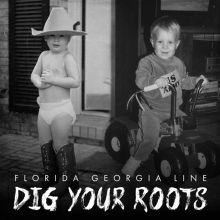 Album cover for Dig Your Roots by Florida Georgia Line