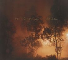 Album cover for Blindfaller by Mandolin Orange
