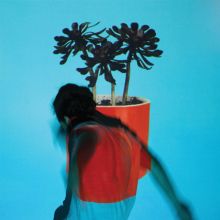 Album cover for Sunlit Youth by Local Natives