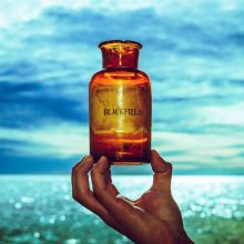Album cover for Blackfield V [LP] by Blackfield