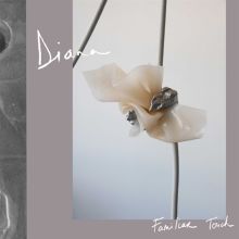 Album cover for Familiar Touch by DIANA