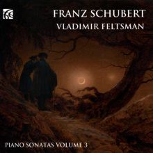 Album cover for Franz Schubert: Piano Sonatas, Vol. 3 by Vladimir Feltsman