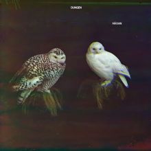 Album cover for Häxan by Dungen