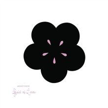 Album cover for Field of Love by Mozart's Sister