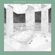 Album cover for I Don't Know What to Feel by The Dove & the Wolf
