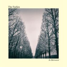 Album cover for In Between by The Feelies