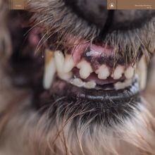 Album cover for World Eater by Blanck Mass
