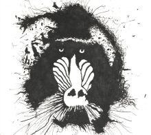 Album cover for Feral Ohms by Feral Ohms