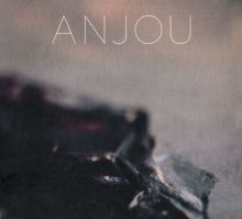 Album cover for Epithymía by Anjou