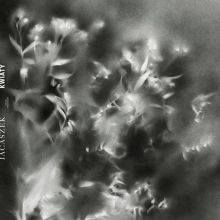 Album cover for Kwiaty by Jacaszek