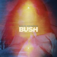Album cover for Black and White Rainbows by Bush