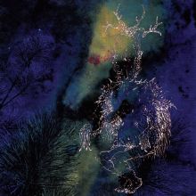 Album cover for Under the Pines by Bardo Pond