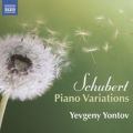 Schubert: Piano Variations