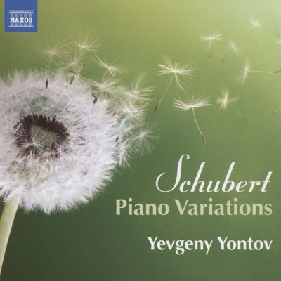 Schubert: Piano Variations