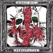 Album cover for Domesplitter [Reissue] by Direct Hit!