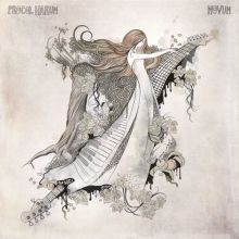 Album cover for Novum by Procol Harum