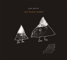 Album cover for The Following Mountain by Sam Amidon