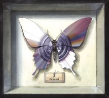Album cover for 3 by Tricot