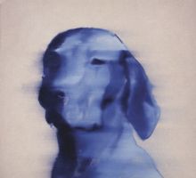Album cover for Stop Talking by Chris Price