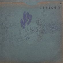 Album cover for Resin Pockets by Crescent