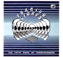 Album cover for The Fifth State of Consciousness by Peaking Lights