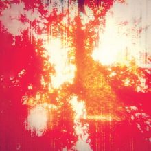 Hard Boiled Soft Boiled