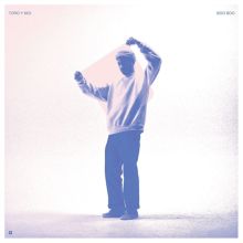 Album cover for Boo Boo by Toro y Moi
