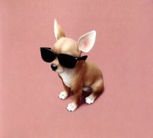 Album cover for Lo Tom by Lo Tom