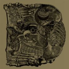 Album cover for Dear by Boris
