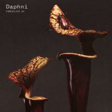 Album cover for Fabriclive 93 by Daphni