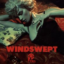 Album cover for Windswept by Johnny Jewel
