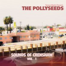 Album cover for Sounds of Crenshaw, Vol. 1 by Terrace Martin / The Pollyseeds