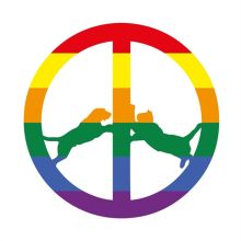 Album cover for Rainbow Edition by Hype Williams