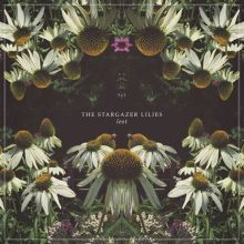 Album cover for Lost by Stargazer Lilies