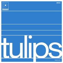 Album cover for Tulips by Maston