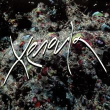 Album cover for Xenoula by Xenoula