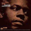 Wayne Shorter: The All Seeing Tracks & Reviews | AllMusic