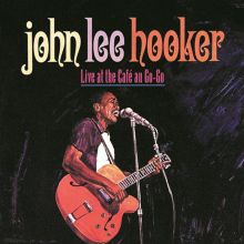 John Lee Hooker: Simply the T Tracks & Reviews | AllMusic