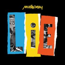 Album cover for LiE  [Live in Europe] by Mudhoney