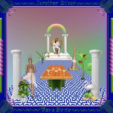 Album cover for Rare Birds by Jonathan Wilson