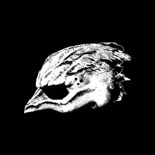 Album cover for Legend of the Seagullmen by Legend of the Seagullmen