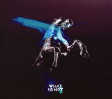 Album cover for Not All the Beautiful Things by What So Not