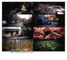Album cover for A Whole Fucking Lifetime of This by American Pleasure Club