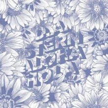 Album cover for Aloha Hola by D.A. Stern