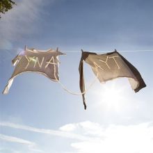 Album cover for YNAAYT by Sorority Noise