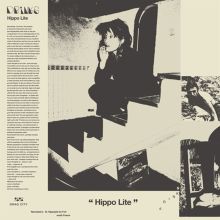 Album cover for Hippo Lite by DRINKS